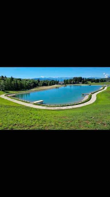 Au Bout Du Bois Piscine Sauna Hammam Accessible En Saison Et Le Accessible Toute L Annee Apartment *